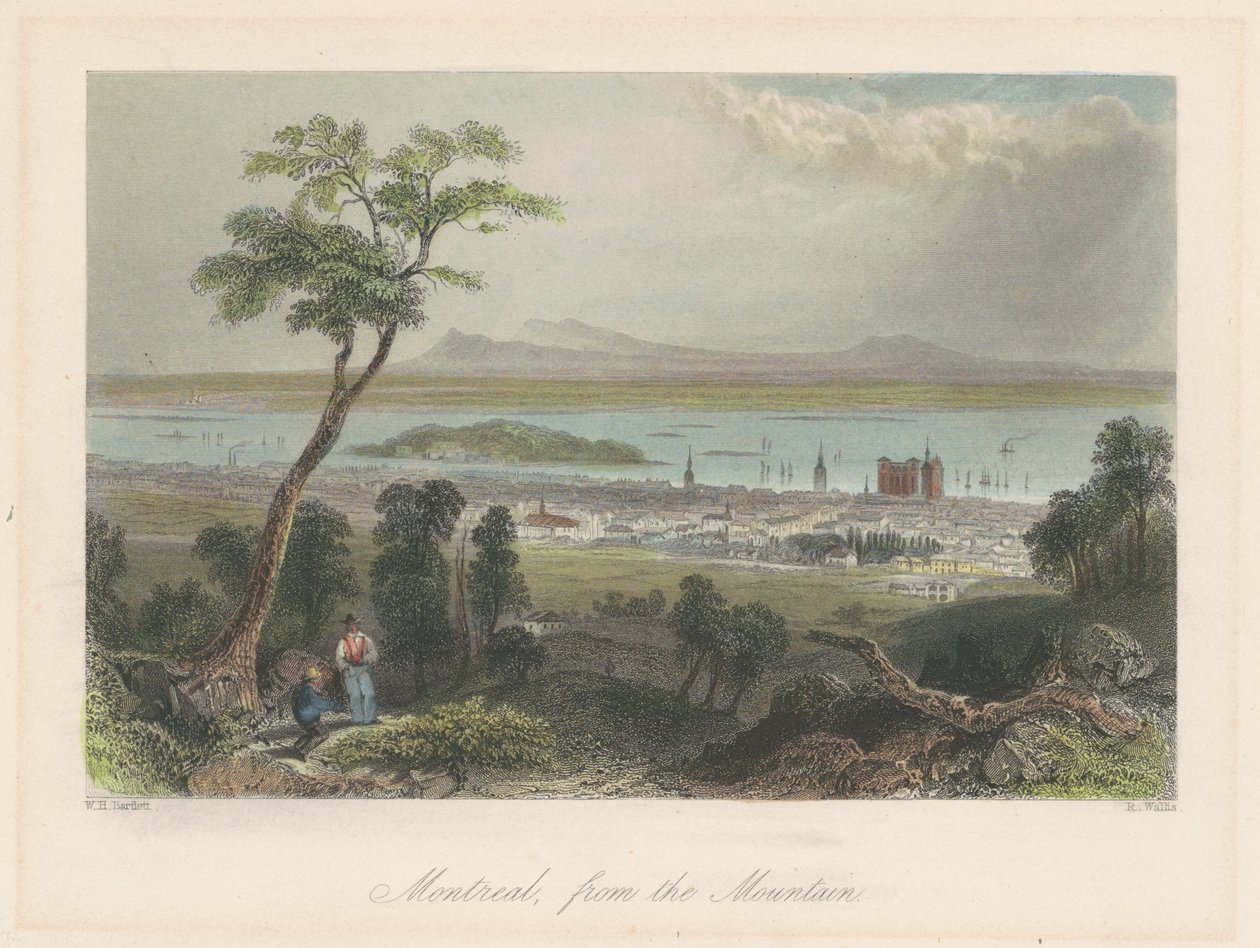 Montréal, depuis la montagne - William Henry Bartlett