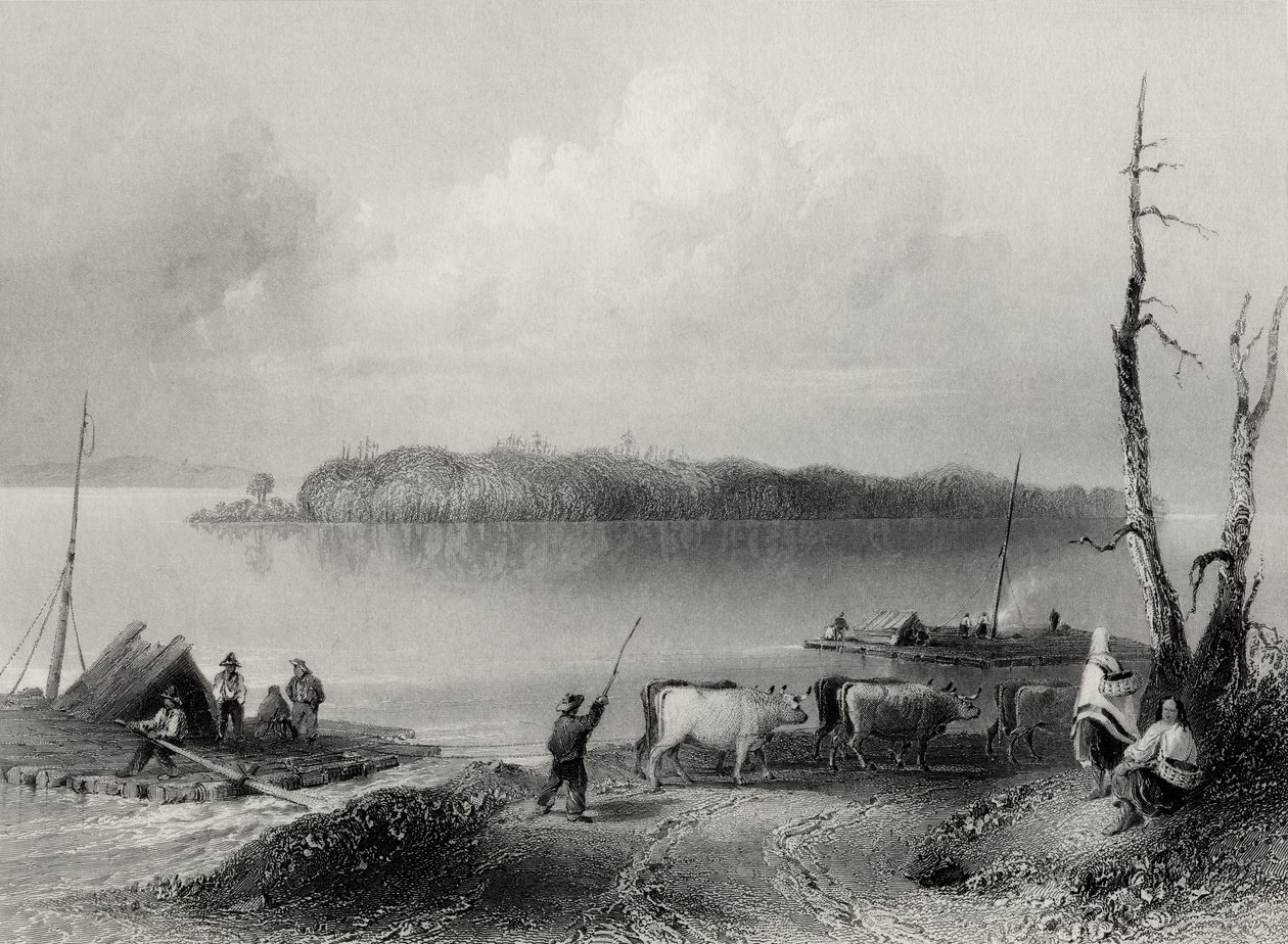 Île Navy, rivière Niagara, Ontario, Canada, gravé par Charles Coulson (1815-89) - William Henry Bartlett