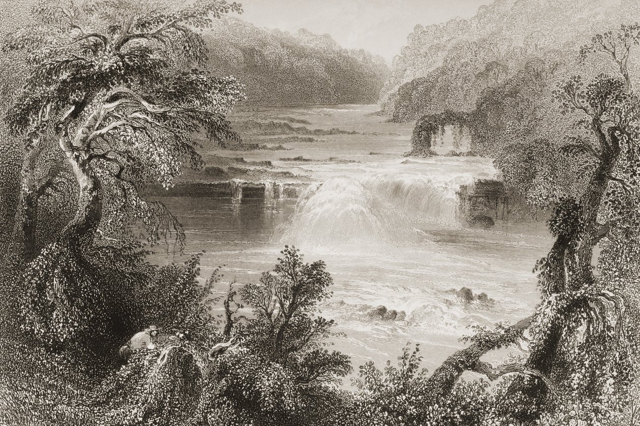 Saut du saumon à Leixlip, comté de Kildare, de 