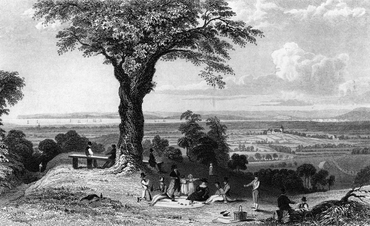 Scène de Laindon Hill, près de Horndon, Essex, gravé par Henry Wallis, 1832 - William Henry Bartlett