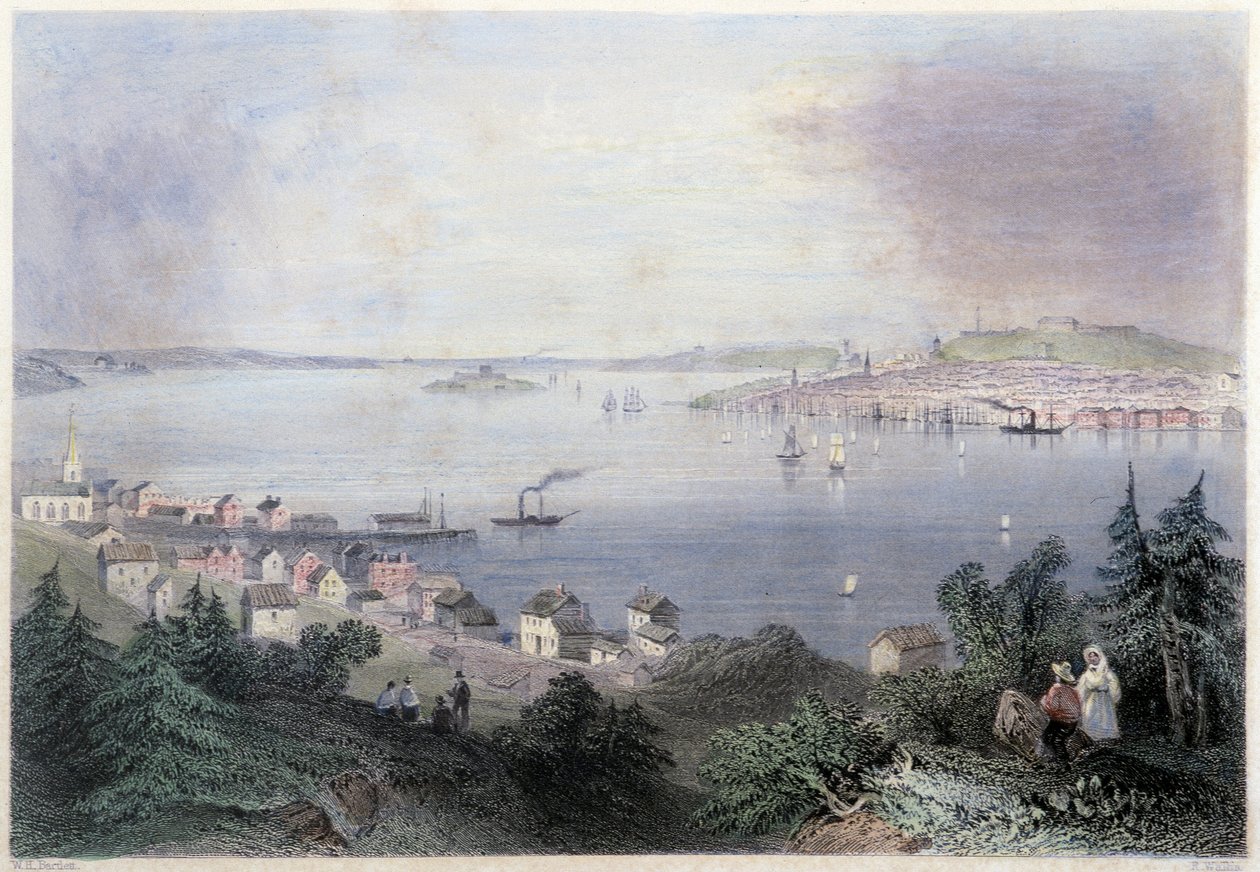 Vue d