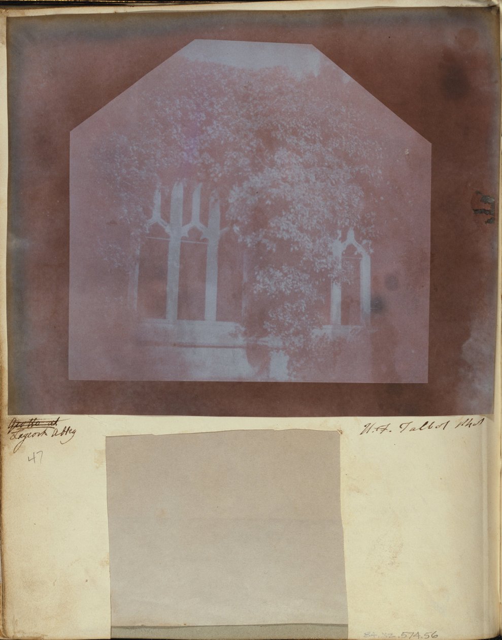 (détail) - William Henry Fox Talbot