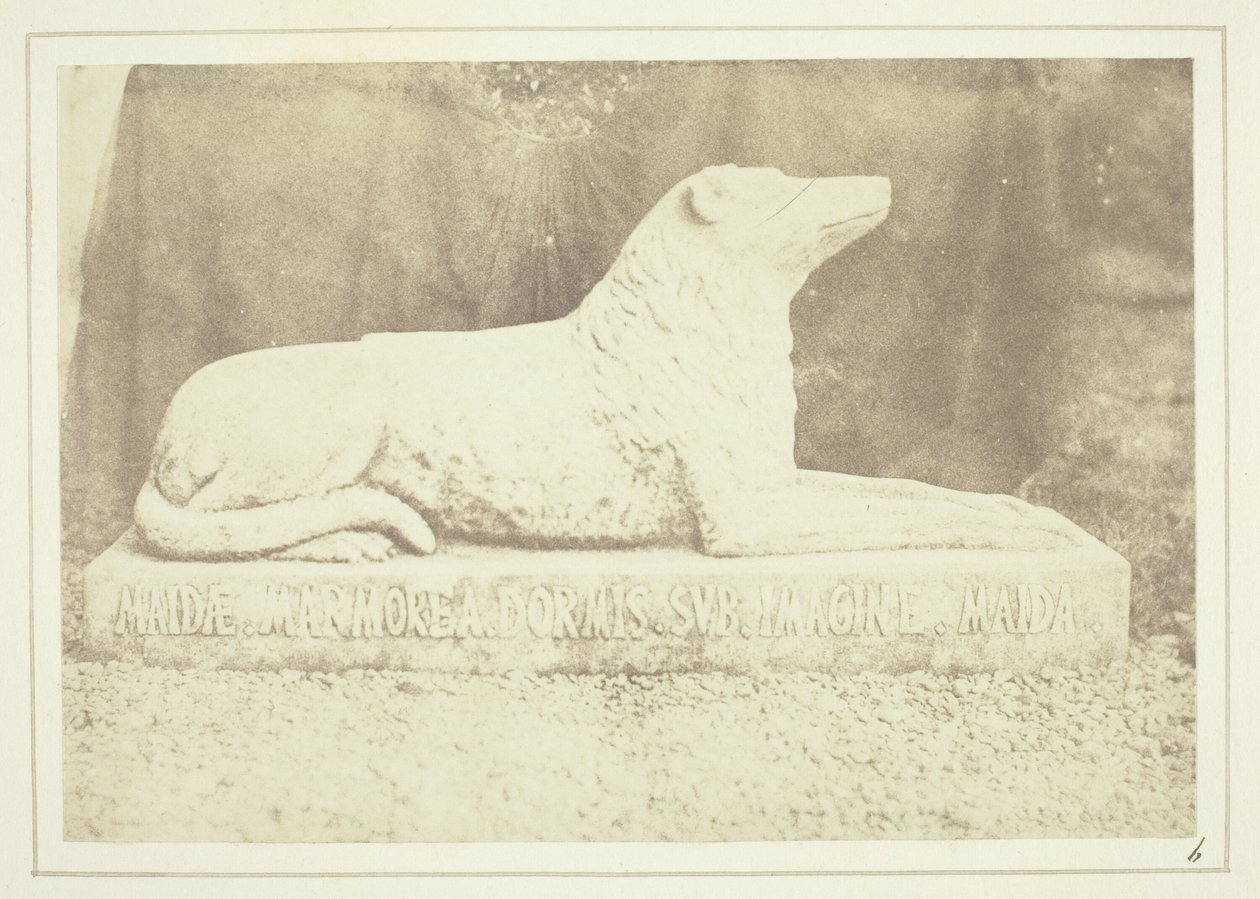 Effigie de Maida, la chienne préférée de Sir W. Scott, à côté de la porte du hall d