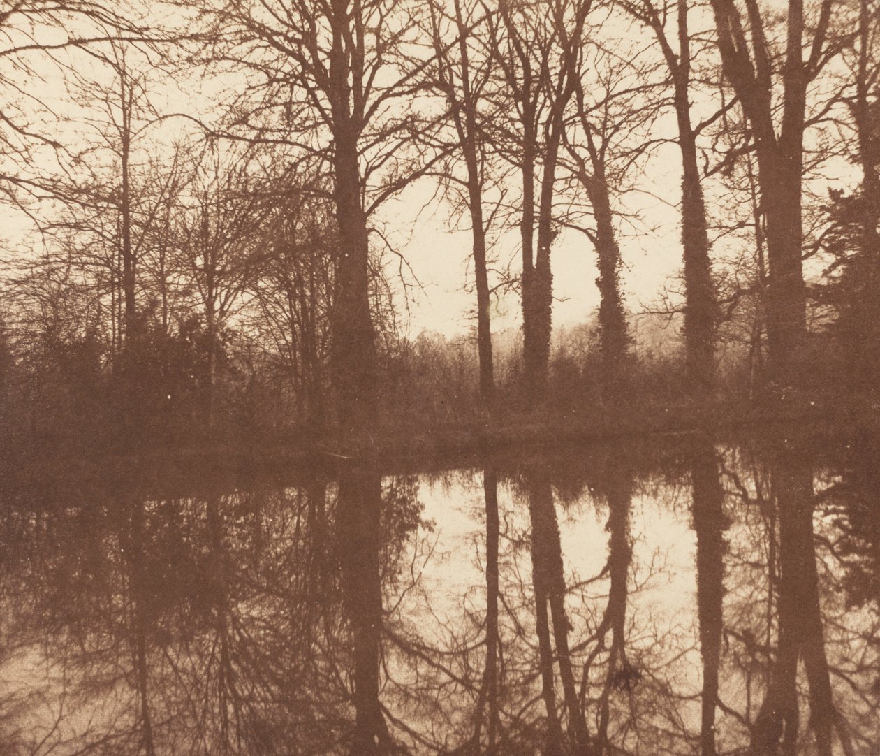Arbres d
