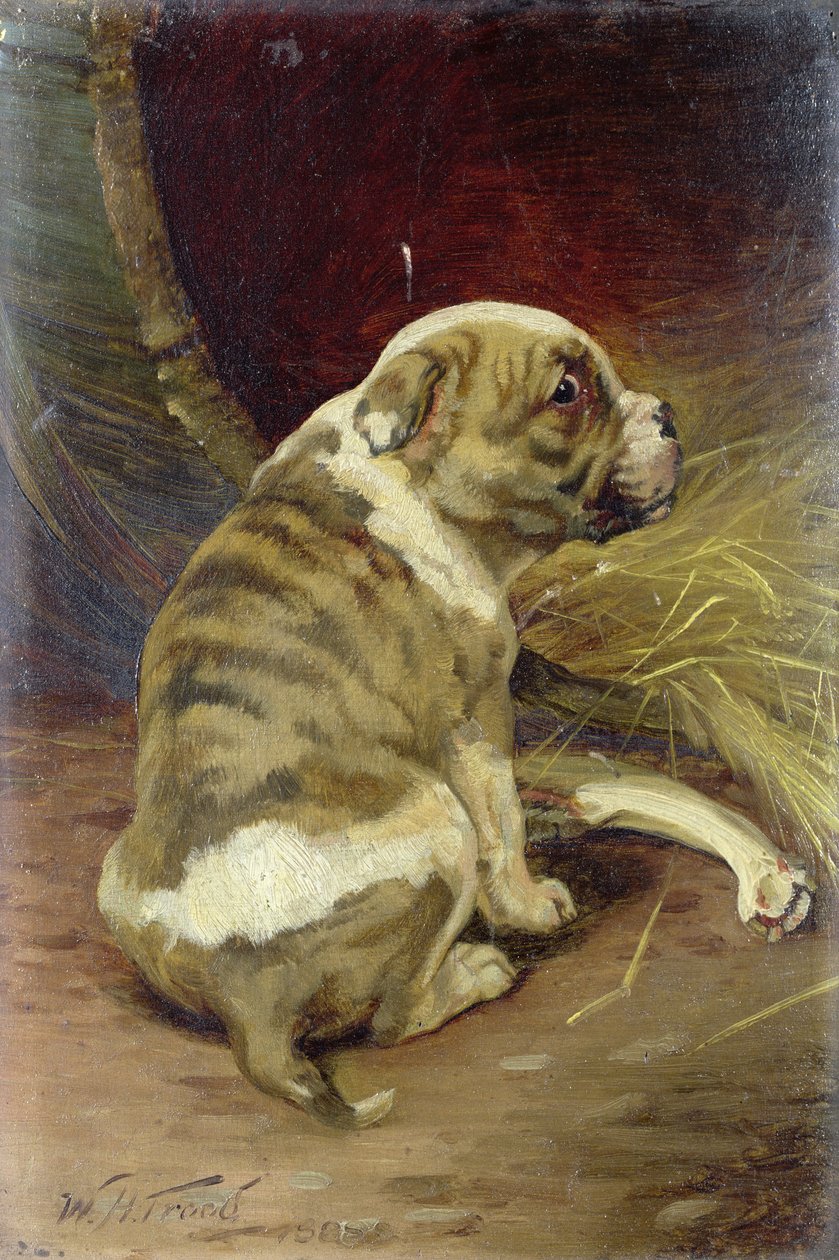 Donne un os à un chien, 1888 - William Henry Hamilton Trood