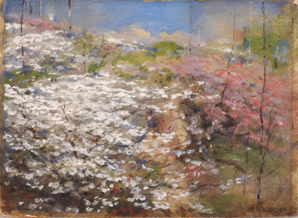 Champ de fleurs - William Henry Holmes