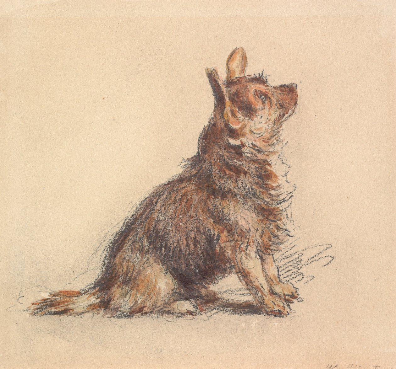 Un terrier assis, regardant vers le haut à droite - William Henry Hunt