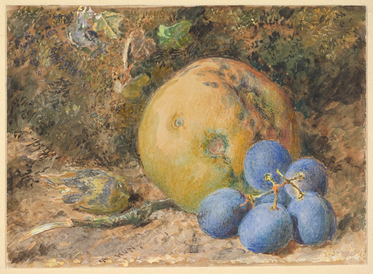 Une pomme, des raisins et une noisette sur une berge moussue - William Henry Hunt