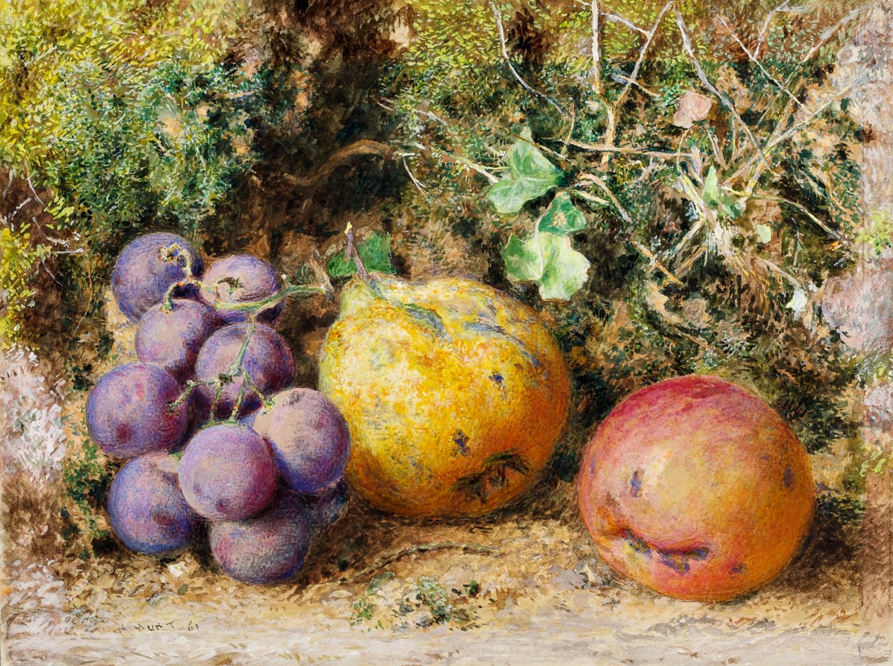 Raisins noirs, coing et Newtown Pippin, 1861 - William Henry Hunt