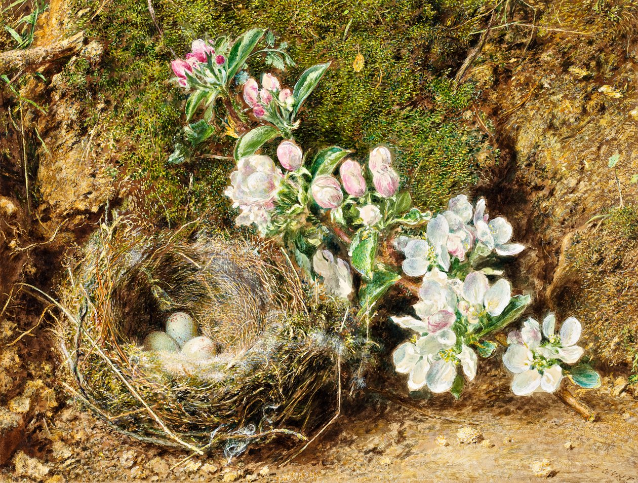 Branche de fleur de pommier et nid d