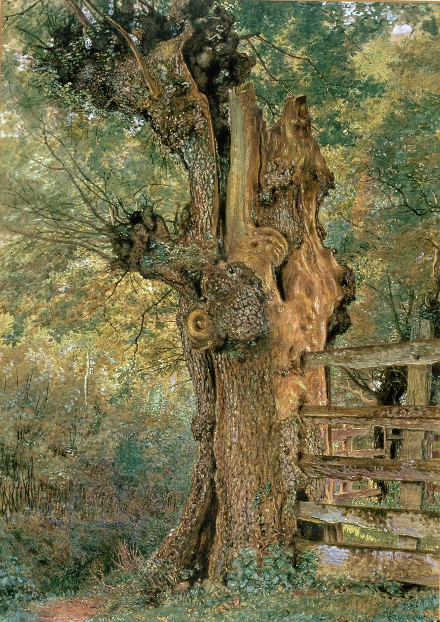 Orme taillé au bord de l