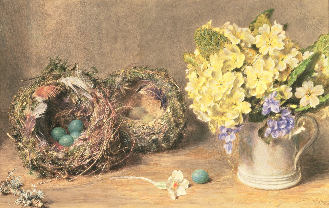 Fleurs de printemps et nids d