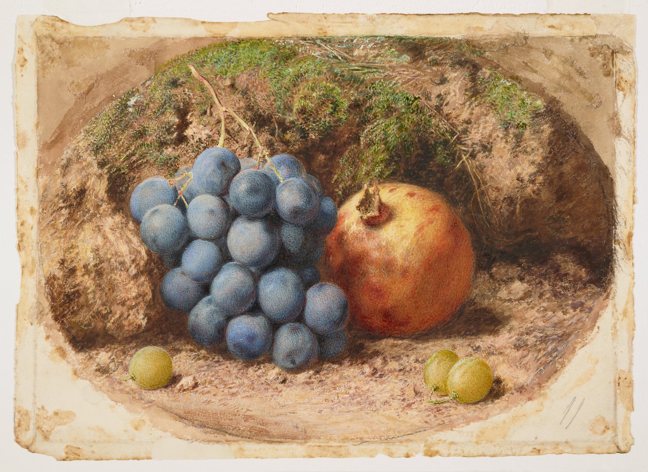 Nature morte aux raisins et à une grenade - William Henry Hunt