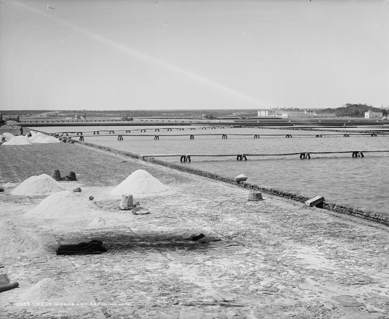 Salines et cuves de raffinage, Mexique, c.1880-97 - William Henry Jackson