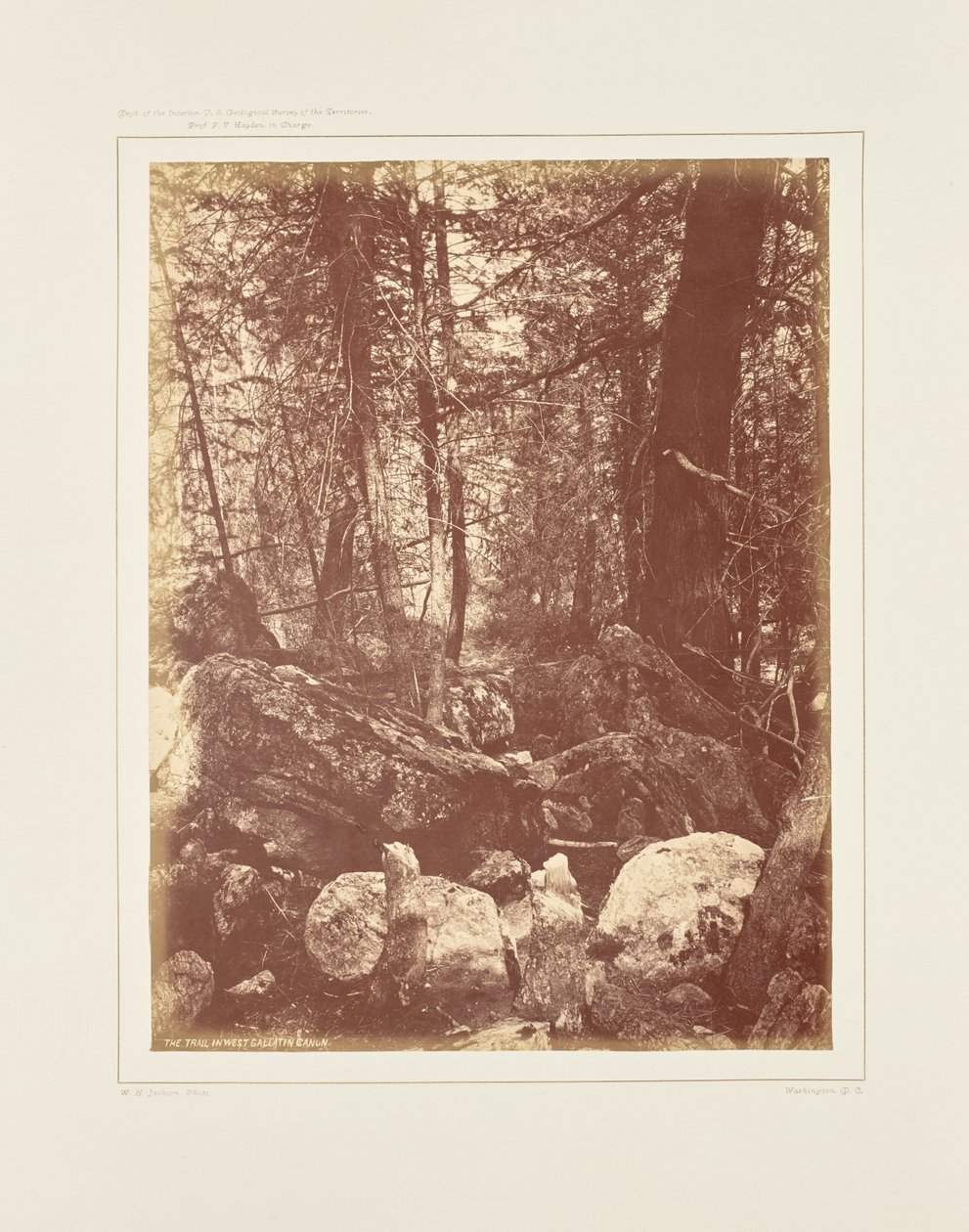 Le sentier dans les bois, Gallatin Cañon - William Henry Jackson