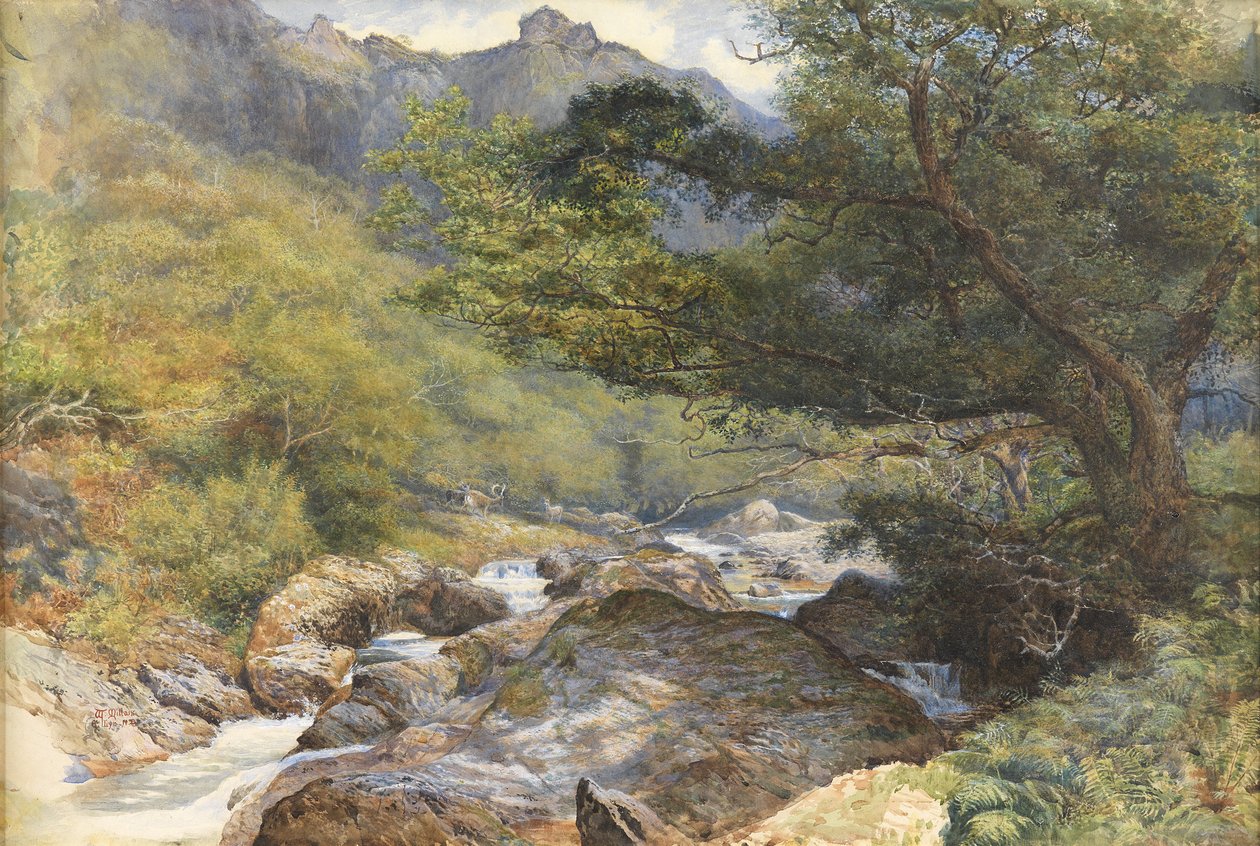 Sur le Lyn, North Devon - William Henry Millais