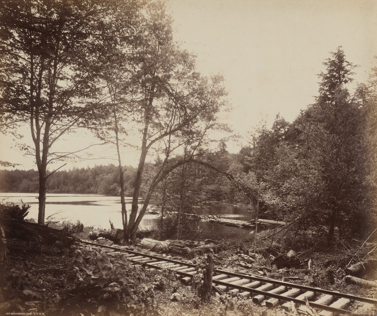 Lac Beechwood, c. 1895 (photo) - William Herman Rau