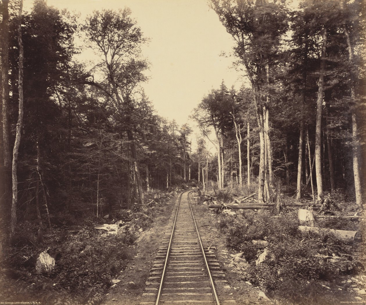 Branche du lac Ganoga, vers 1895 (photo) - William Herman Rau