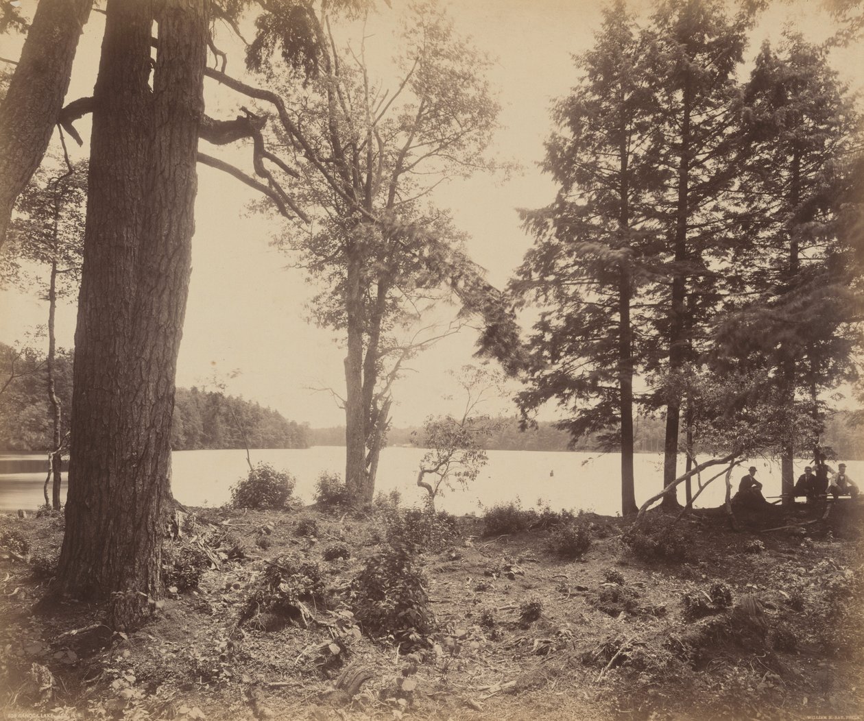 Lac Ganoga, vers 1895 (photo) - William Herman Rau