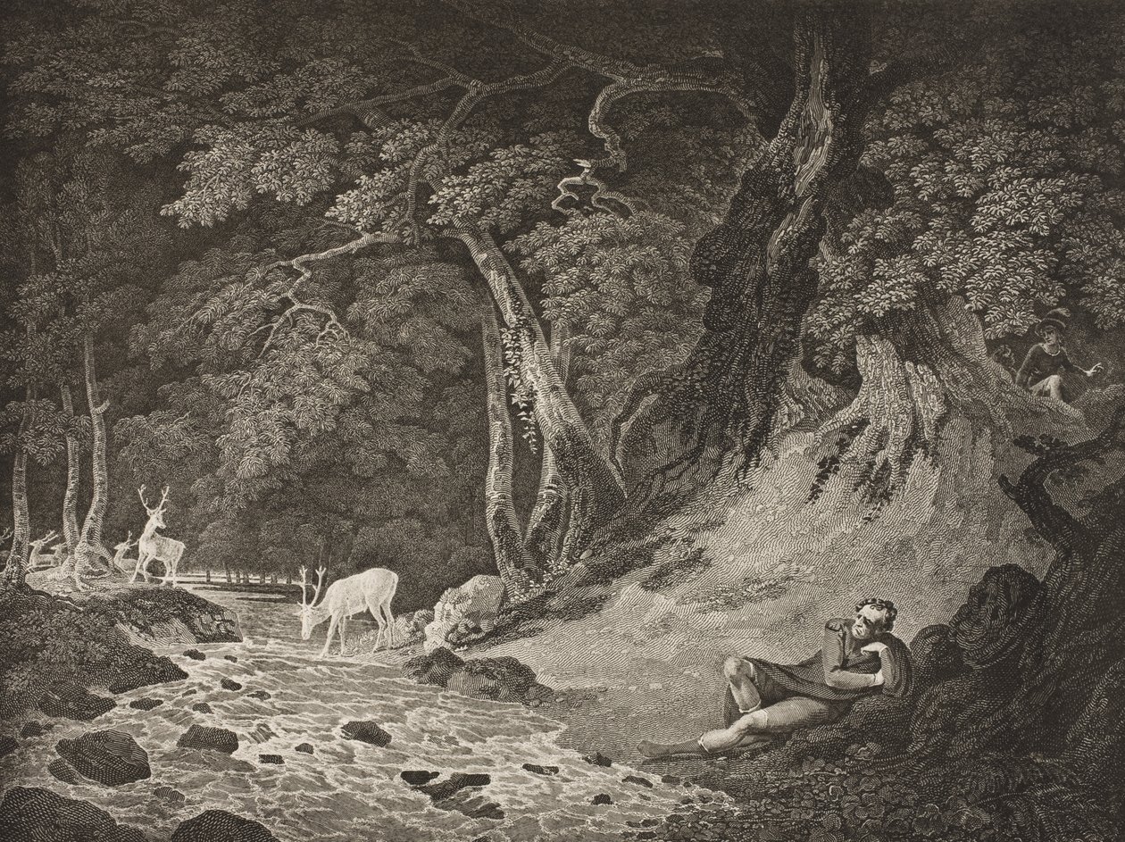 La Forêt d
