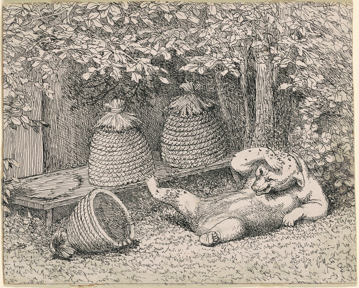 Ours piqué par des abeilles - William Holbrook Beard