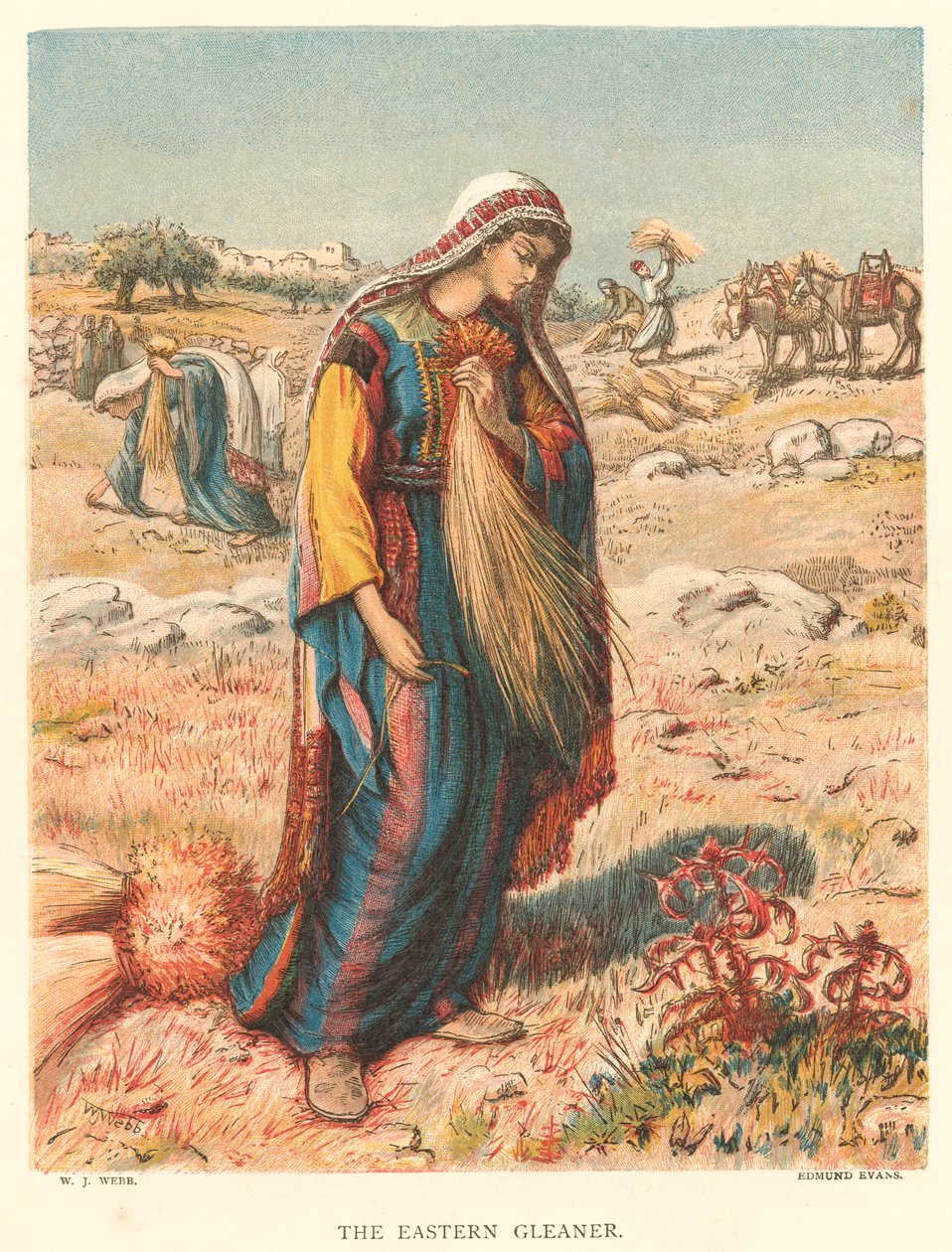 The Eastern Gleaner (gravure en couleur) - William J. Webbe or Webb