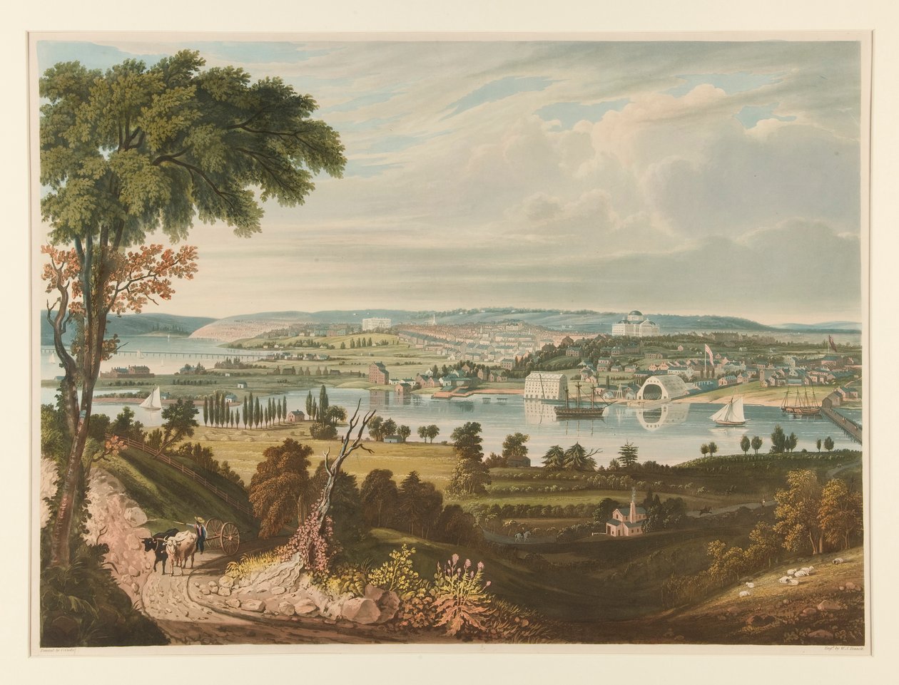 Ville de Washington depuis l