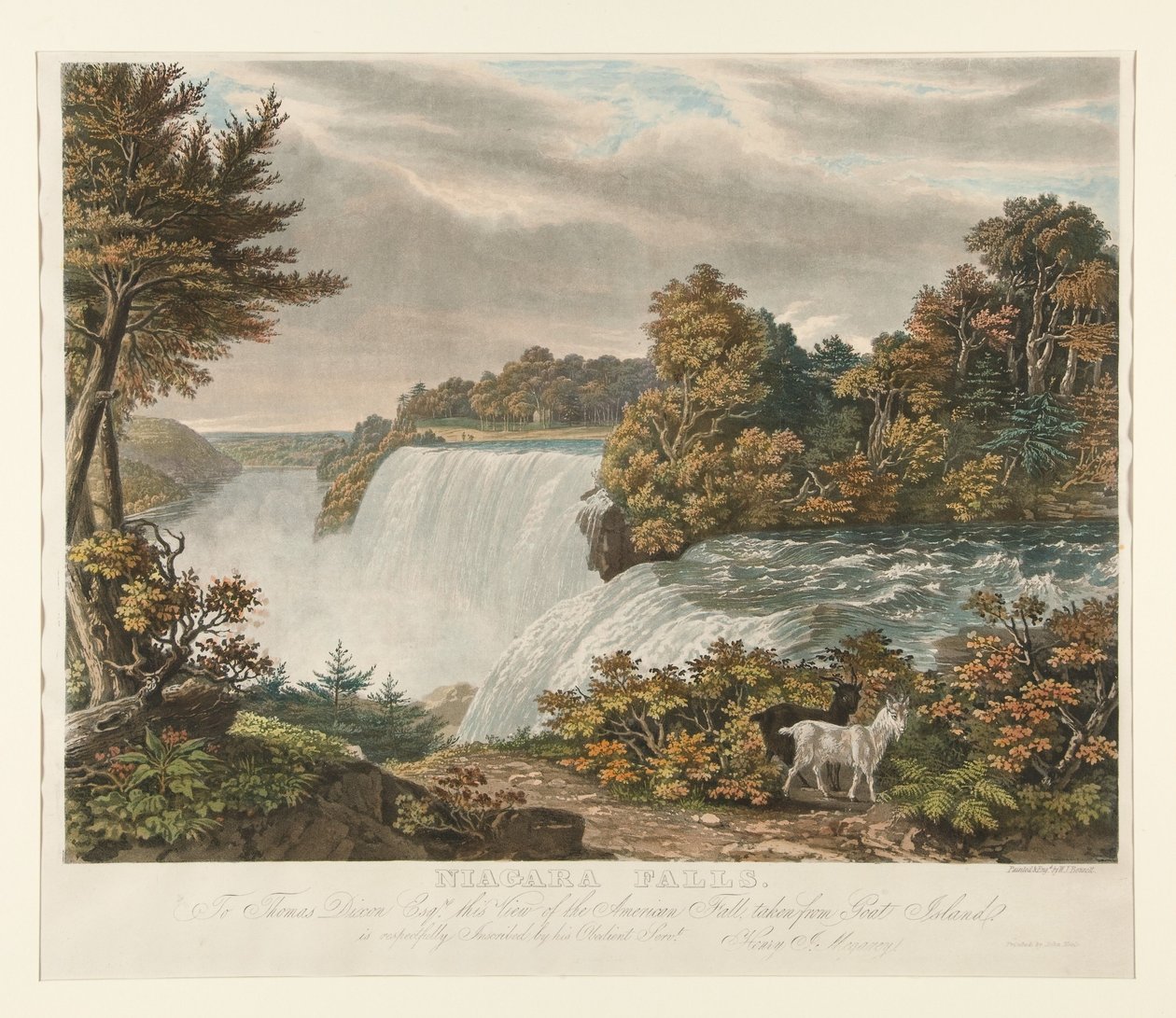 Chutes du Niagara. À Thomas Dixon Esq. est respectueusement dédiée cette vue de la chute américaine, prise depuis Goat Island - William James Bennett
