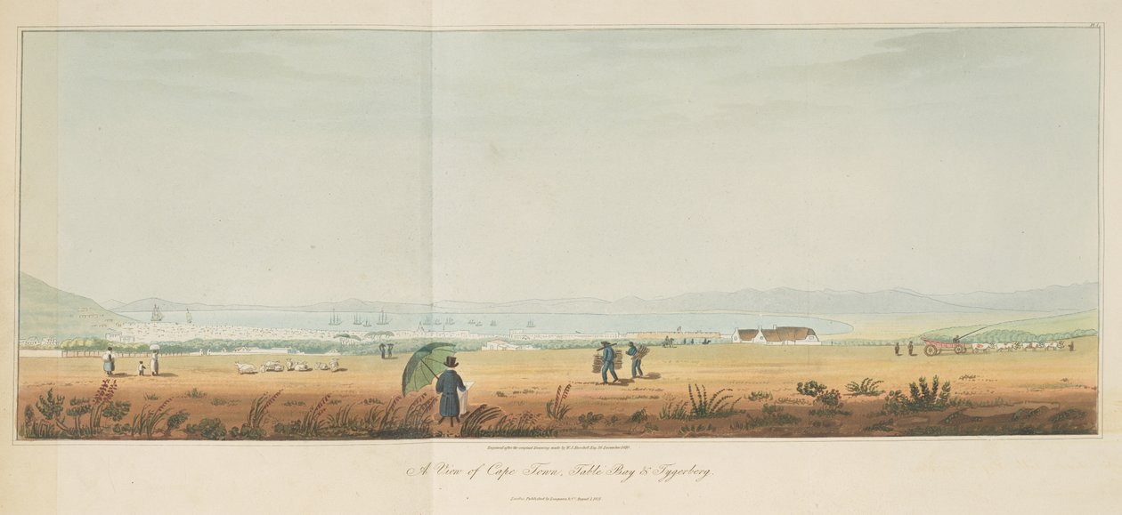 Vue du Cap, Table Bay et Tygerberg, de Voyages à l