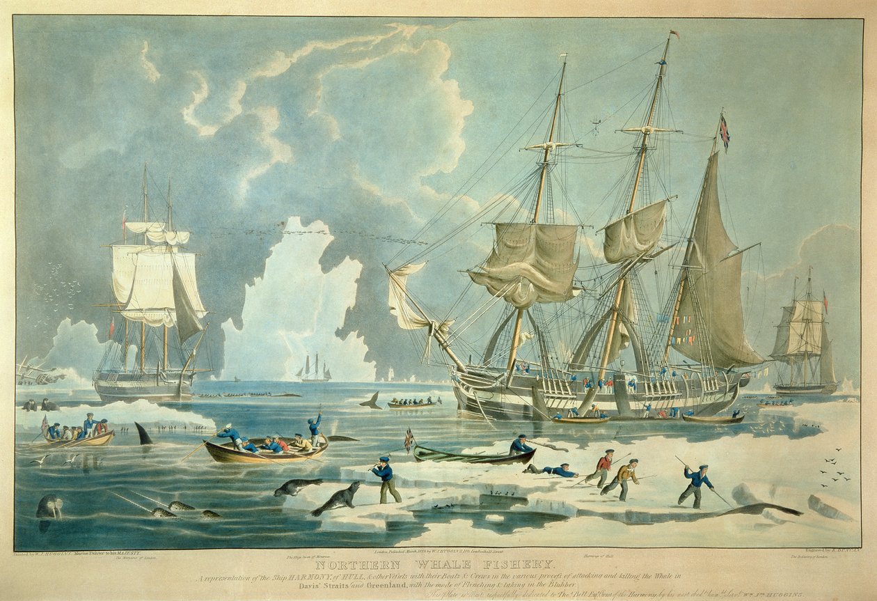 Pêche à la baleine du Nord, gravée par E. Duncan - William John (after) Huggins