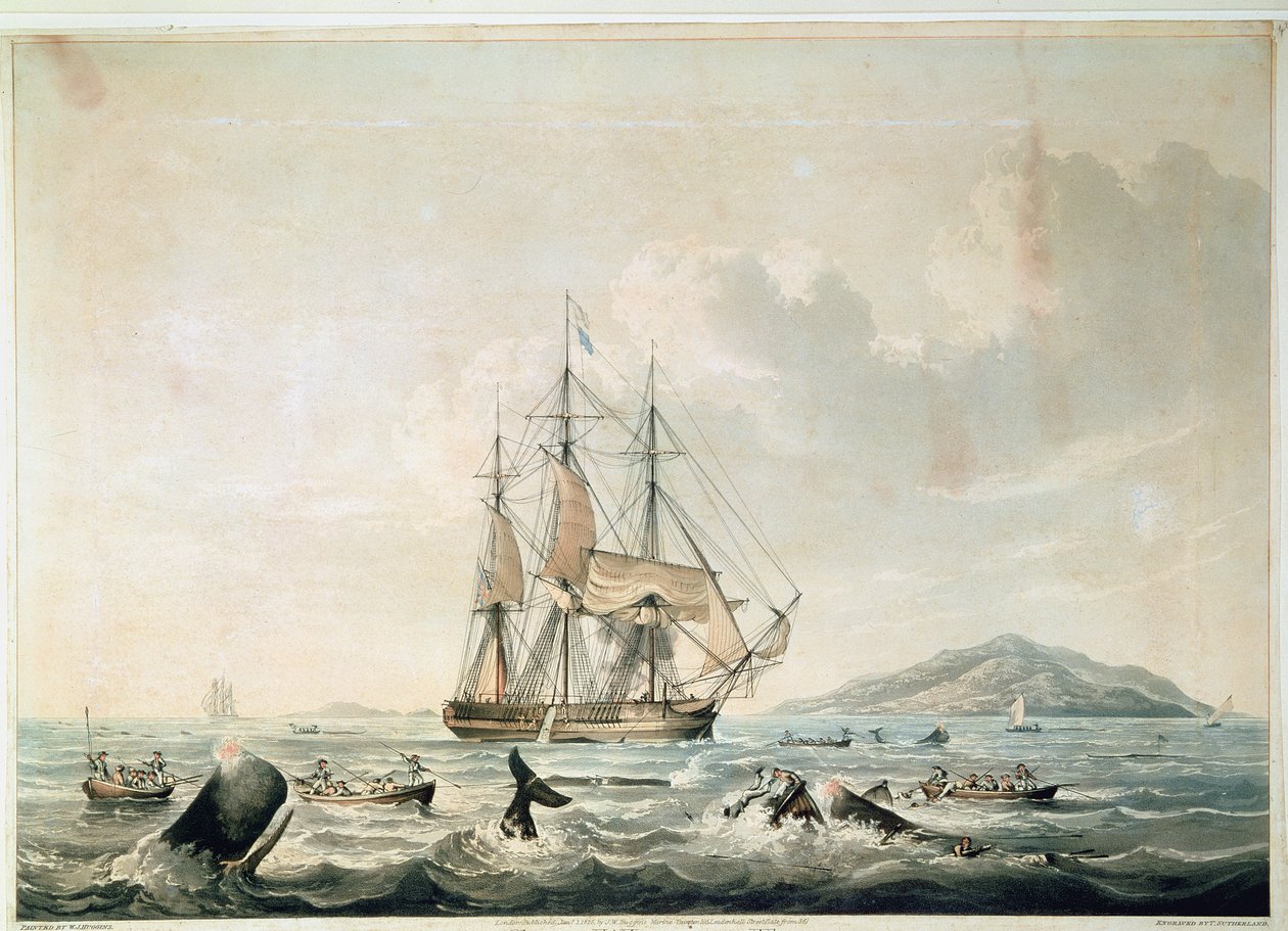 Pêche à la baleine en mer du Sud, gravée par T. Sutherland - William John (after) Huggins