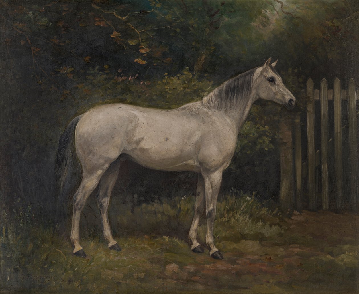 Pickles : un poney basuto, c.1904 - William Josiah Redworth