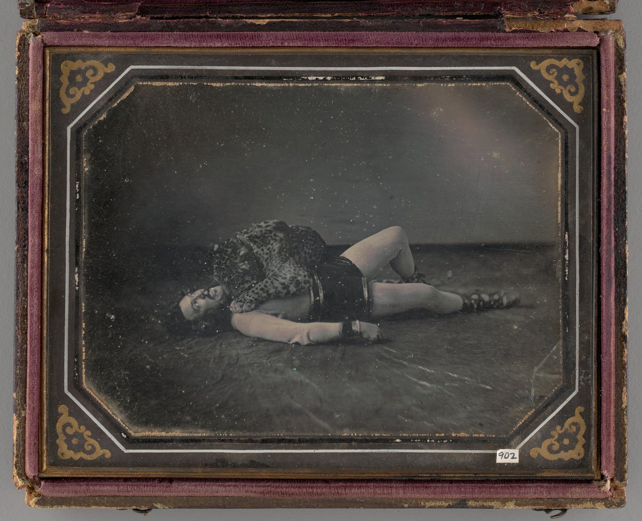 Portrait sans titre du dompteur Jacob Driesbach avec un jaguar, 1850 - William Langenheim