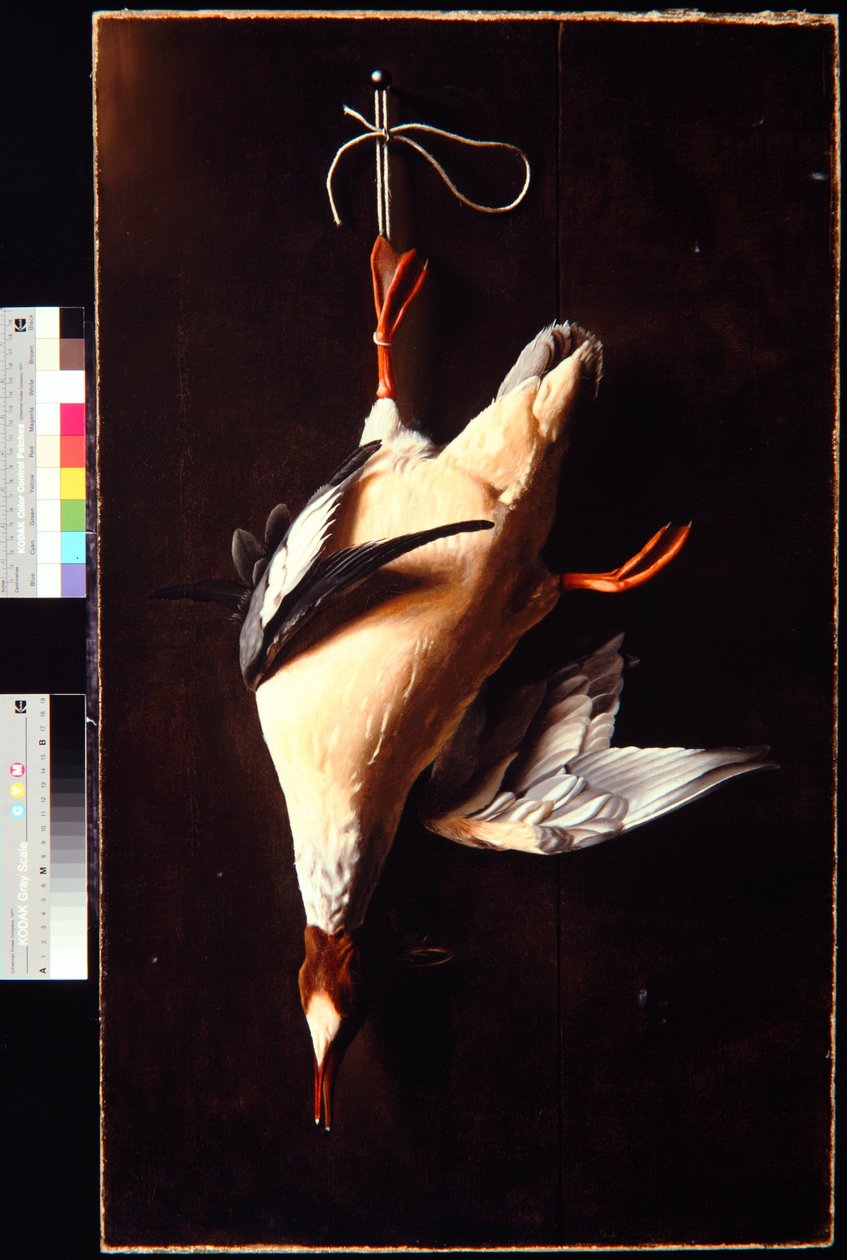 Harle bièvre - William Michael Harnett