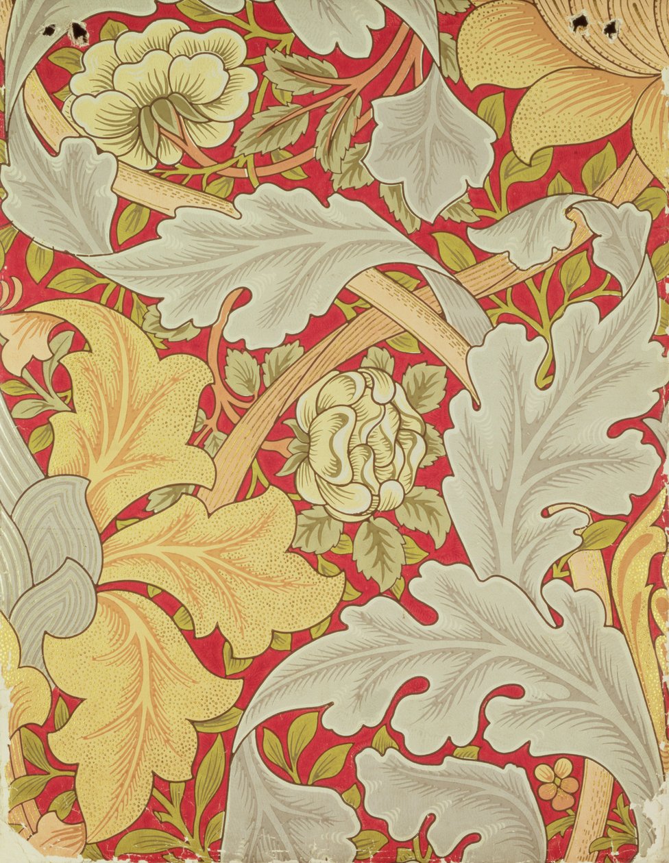 Feuilles d