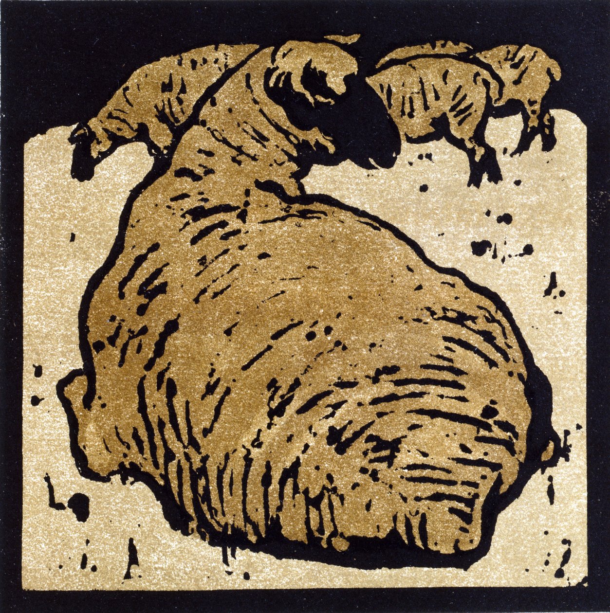 Le Mouton Simple, illustration de 