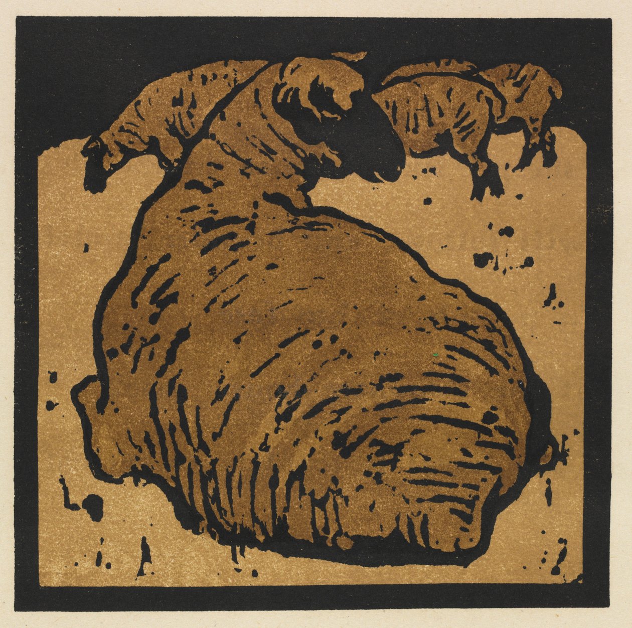 Le livre carré des animaux : Le mouton simple - William Nicholson
