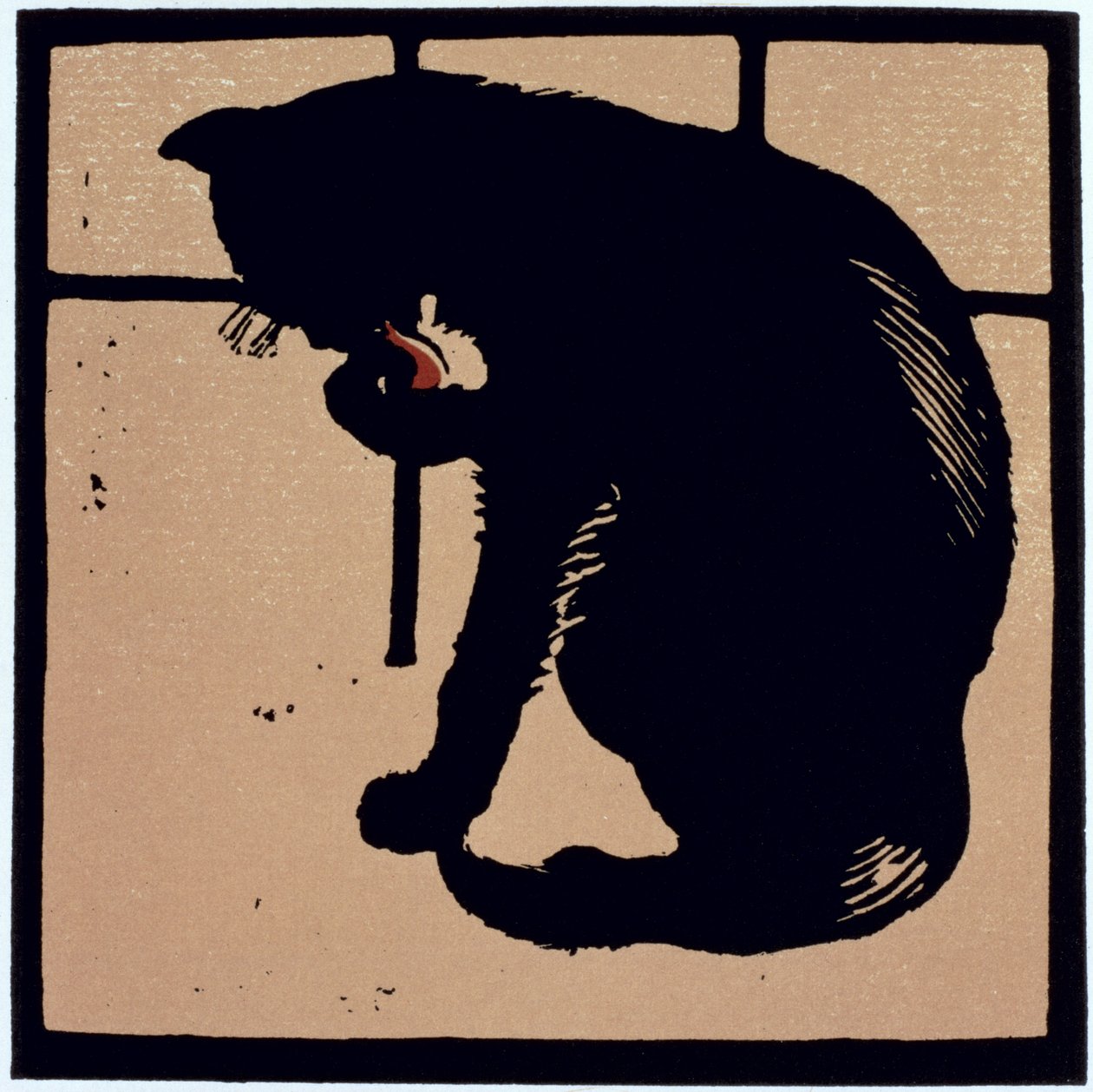 Le chat peu commun, de 