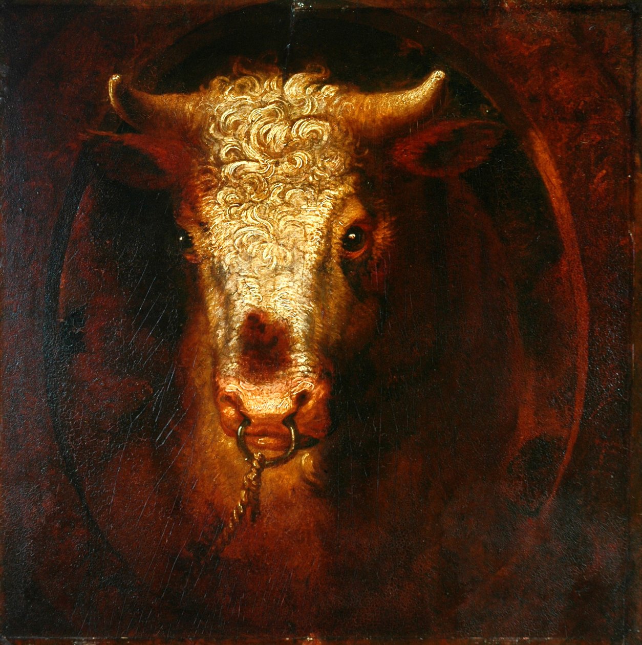 La Tête de taureau - William Overend Geller