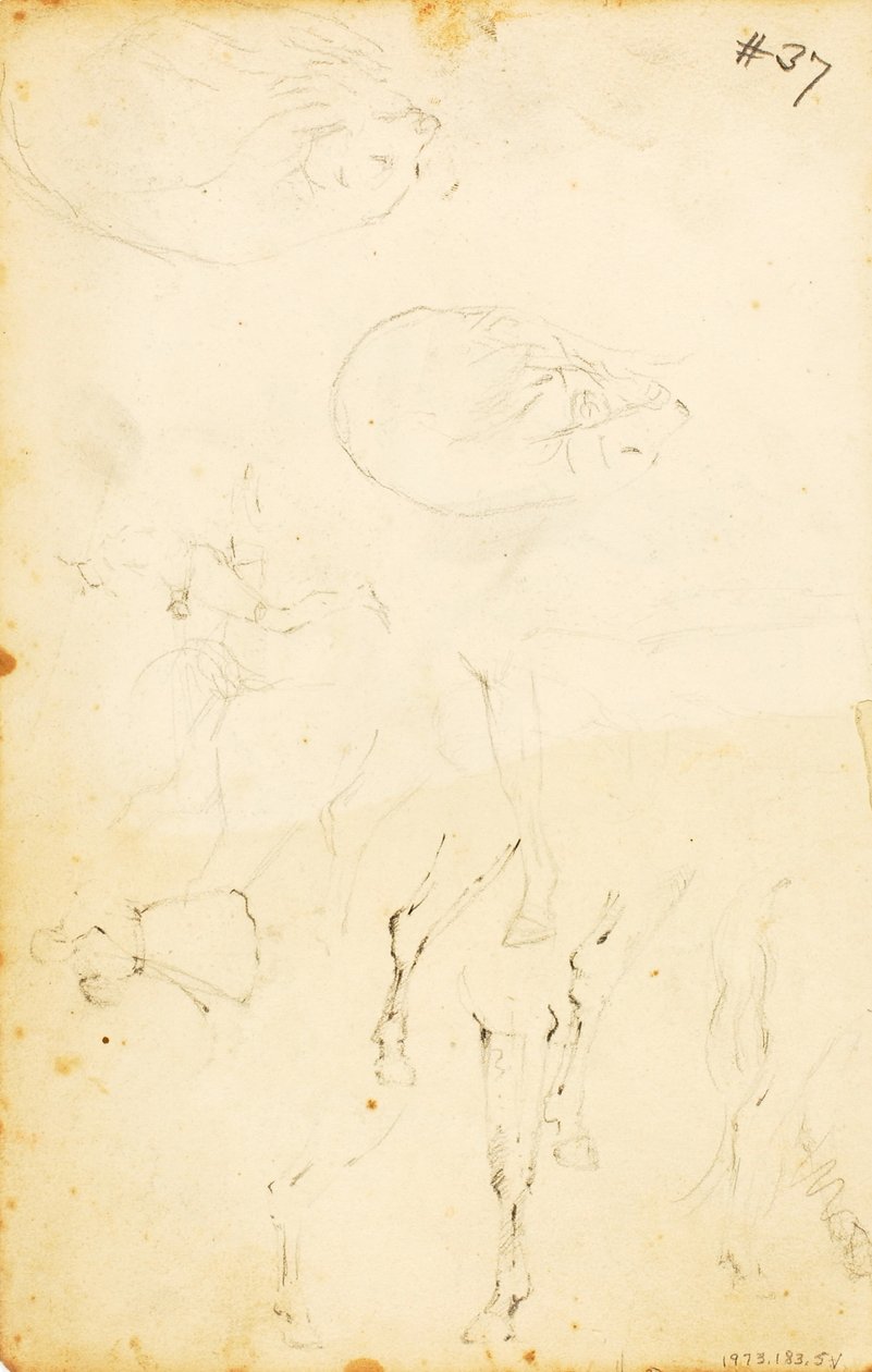 (Études - figures, rondins, cheval et cavalier, etc.) - William Page