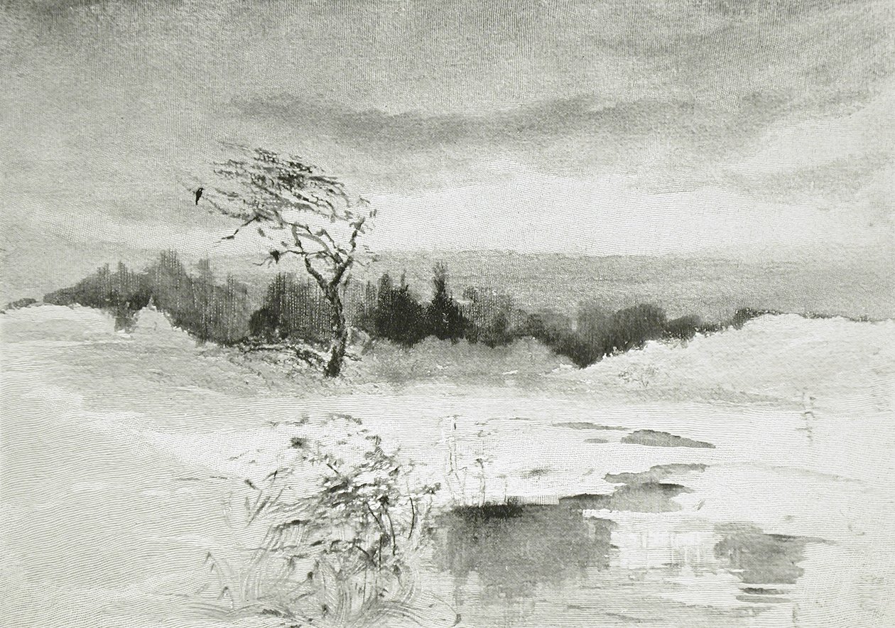 Paysage avec eau et arbre balayé par le vent - William Parsons Winchester  Dana