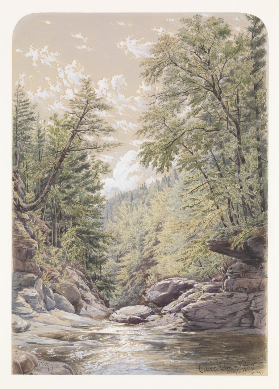 Catskill Clove à Palingsville - William Rickarby Miller