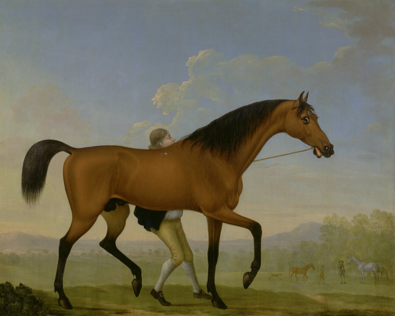 Le cheval bai du duc d