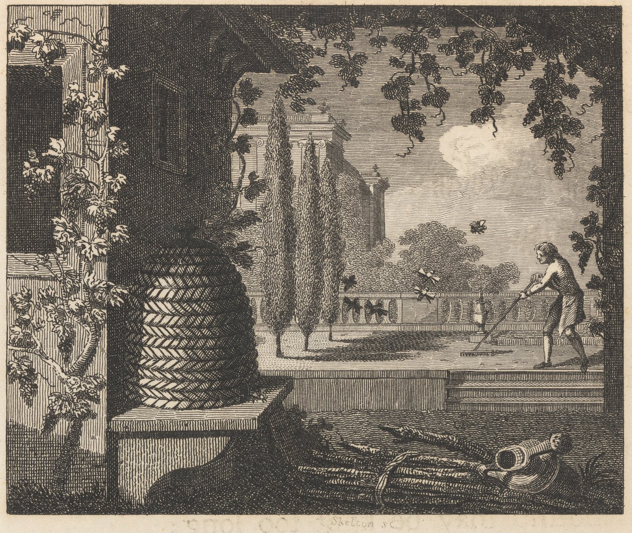 Les abeilles dégénérées - William Skelton