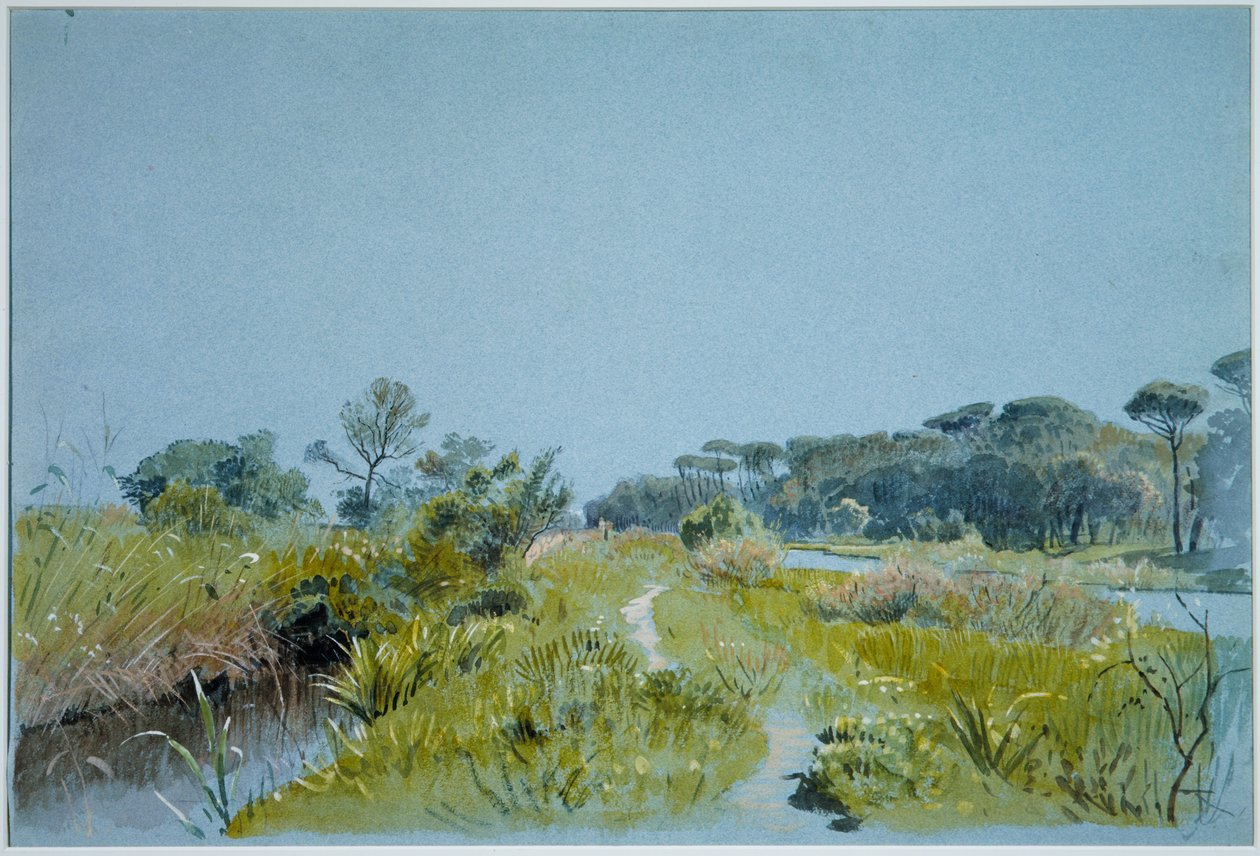 Castel Fusano - près de Rome - William Stanley Haseltine
