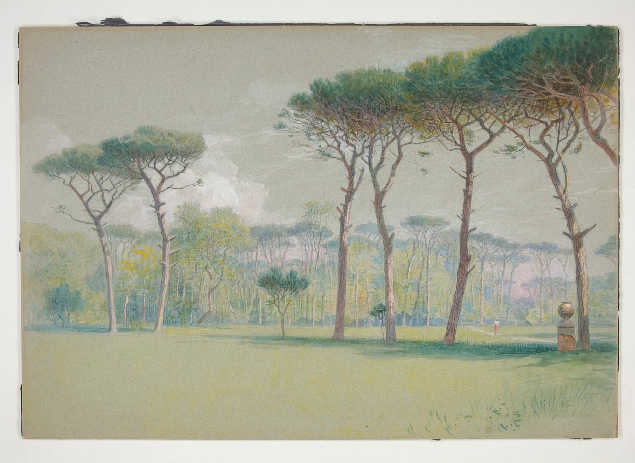 Castel Fusano : Paysage - vaste pelouse et arbres - William Stanley Haseltine