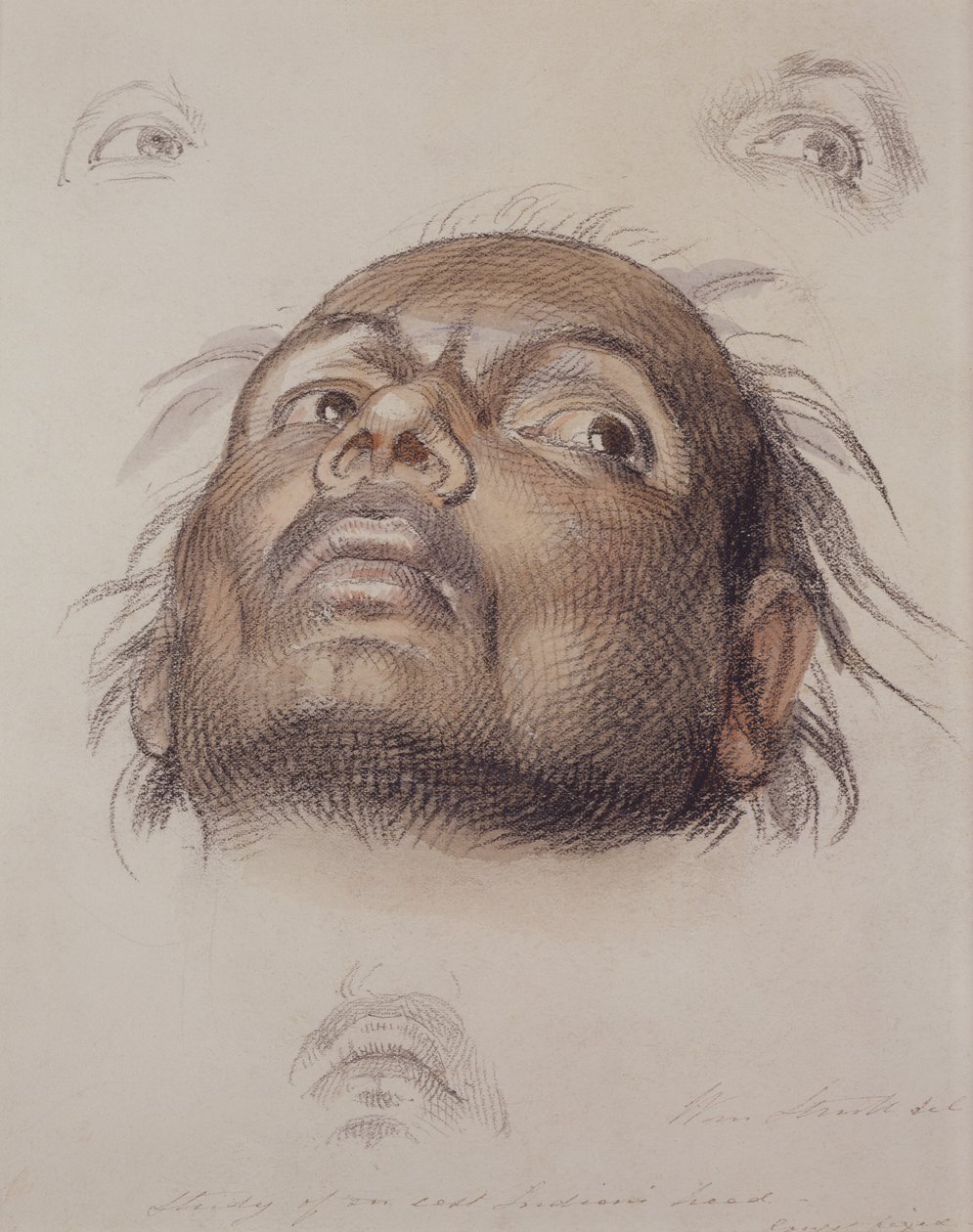 Étude de la tête d