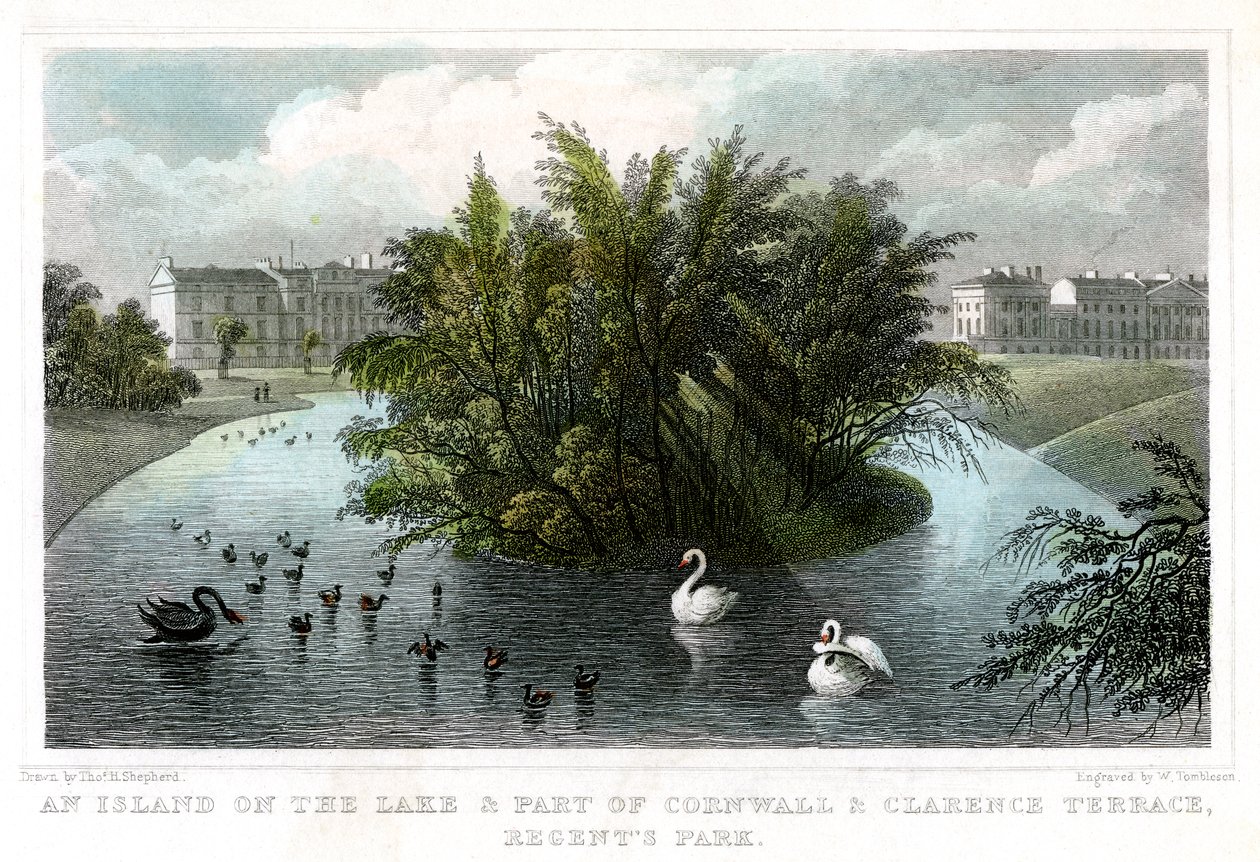 Île sur le lac et partie des terrasses de Cornwall et Clarence, Regents Park, Londres, 1828 - William Tombleson