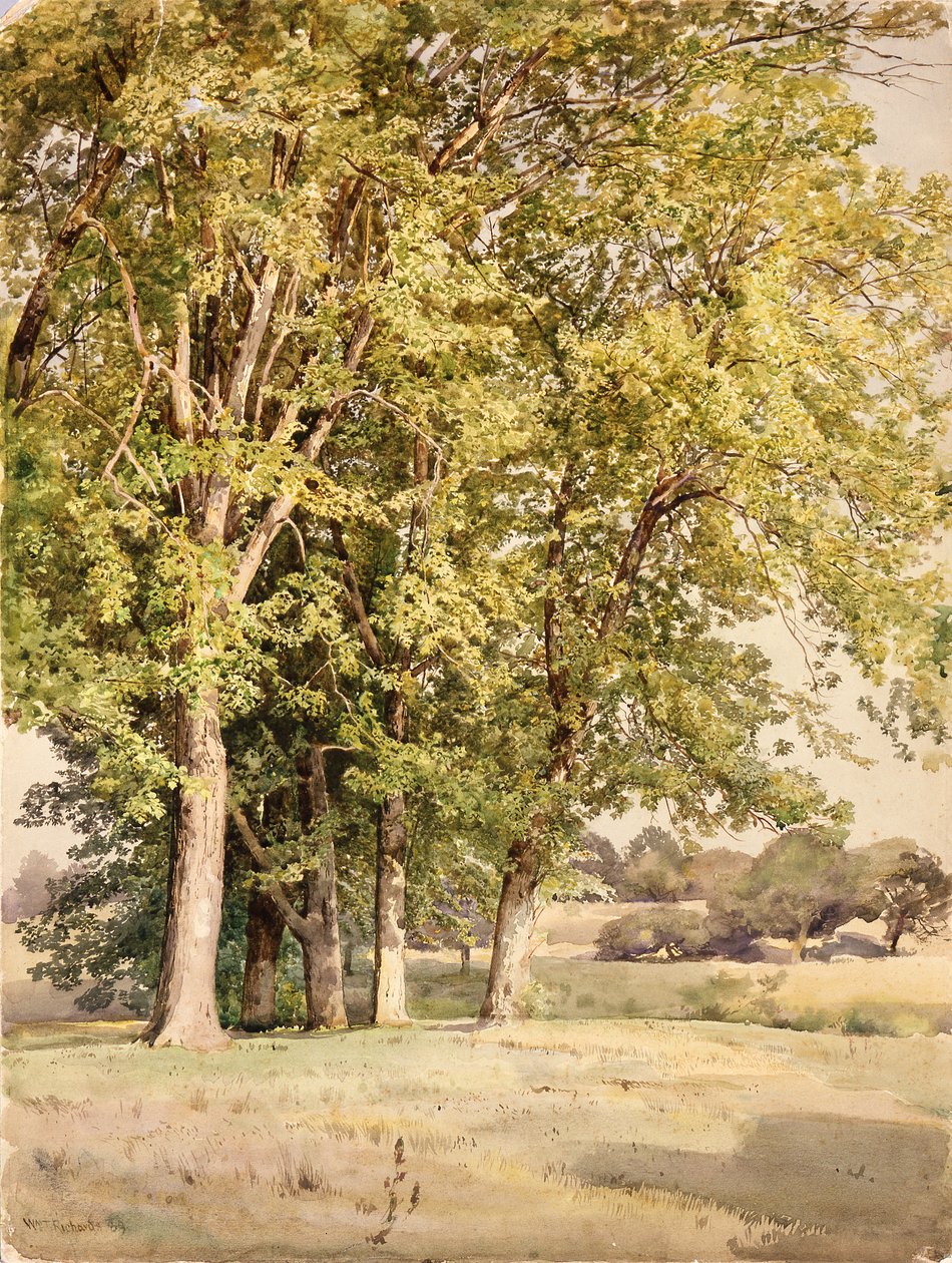 Érables du comté de Chester, Pennsylvanie - William Trost Richards