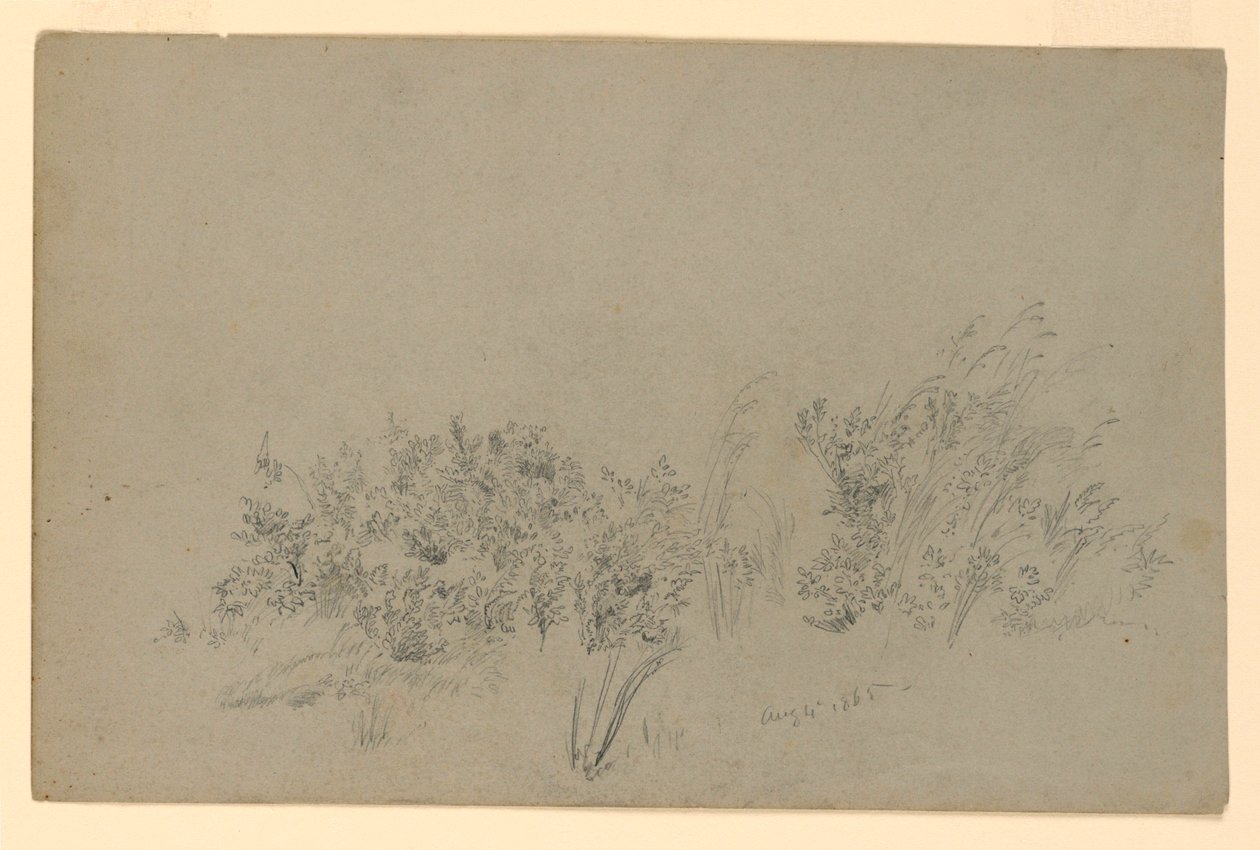 Étude de Feuillage - William Trost Richards